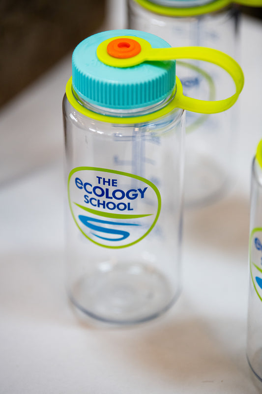 BPA-free Plastic Water Bottle