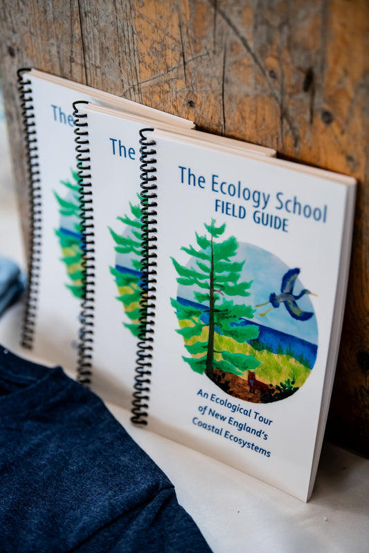 The Ecology School Field Guide: An Ecological Tour Of New England's Coastal Ecosystems